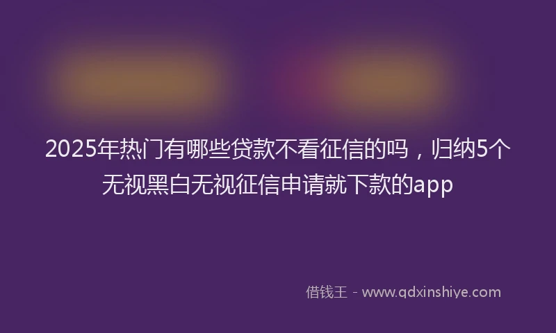 2025年热门有哪些贷款不看征信的吗，归纳5个无视黑白无视征信申请就下款的app