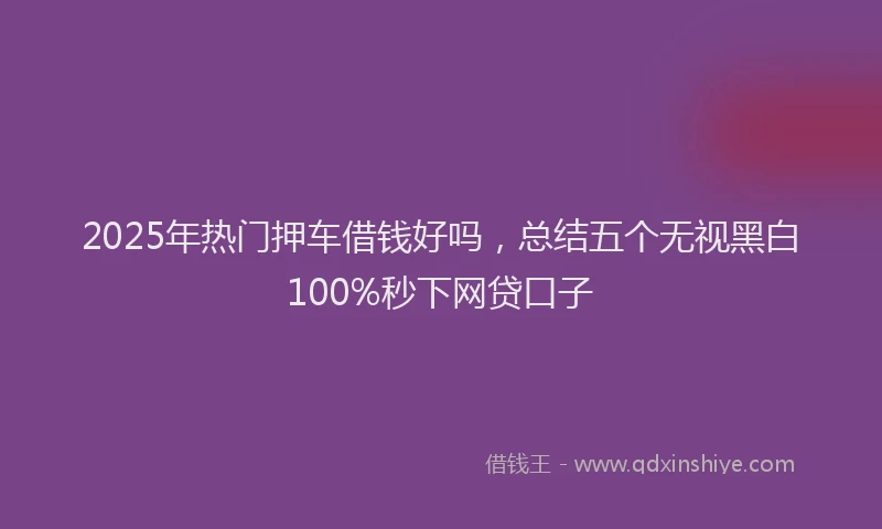 2025年热门押车借钱好吗，总结五个无视黑白100%秒下网贷口子