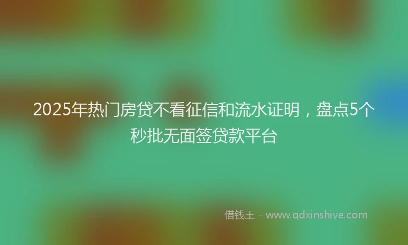 2025年热门房贷不看征信和流水证明，盘点5个秒批无面签贷款平台