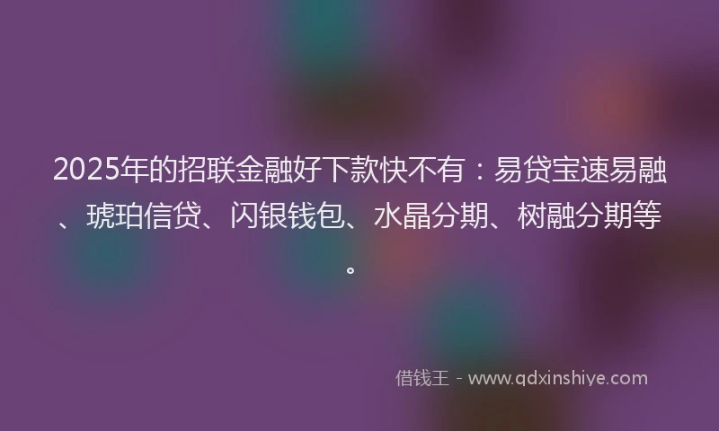 2025年的招联金融好下款快不有：易贷宝速易融、琥珀信贷、闪银钱包、水晶分期、树融分期等。