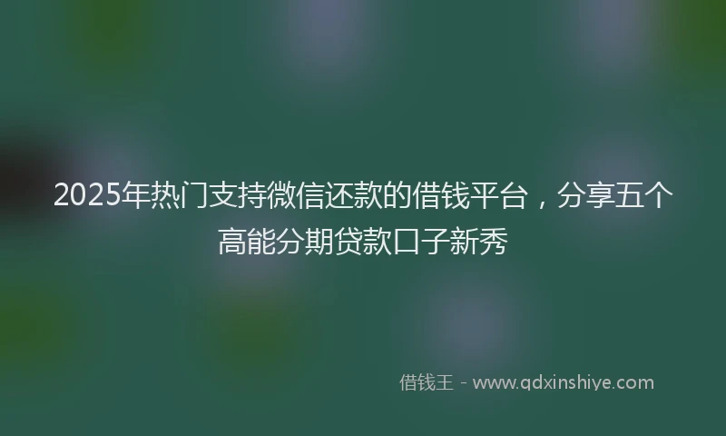 2025年热门支持微信还款的借钱平台，分享五个高能分期贷款口子新秀