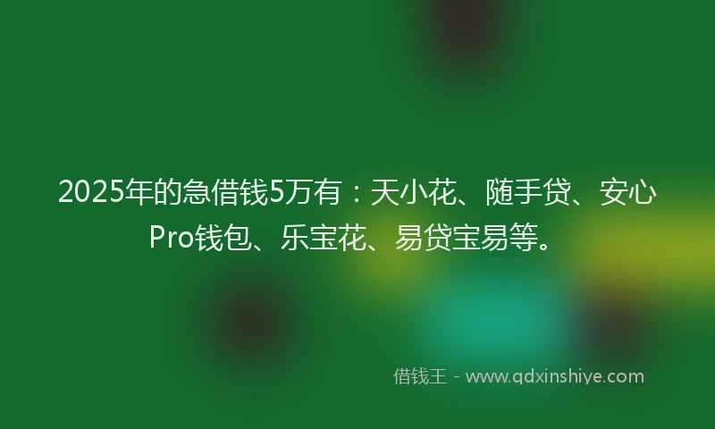 2025年的急借钱5万有：天小花、随手贷、安心Pro钱包、乐宝花、易贷宝易等。