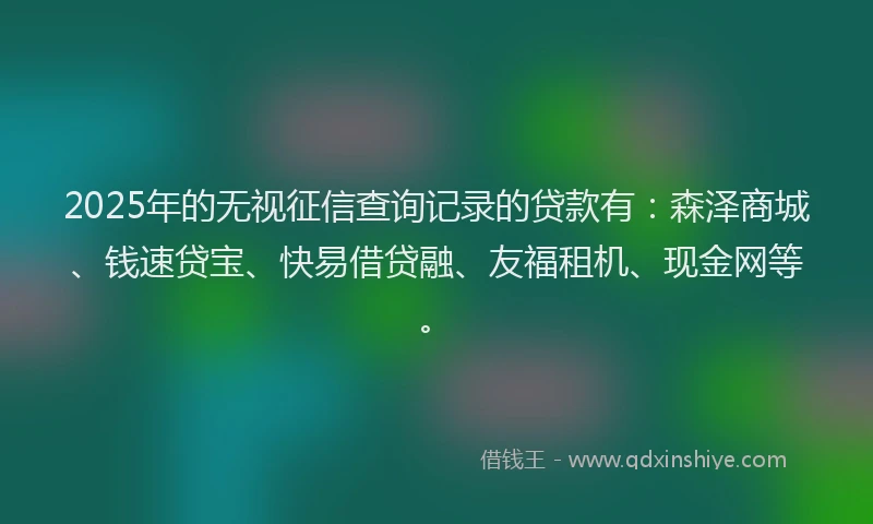 2025年的无视征信查询记录的贷款有：森泽商城、钱速贷宝、快易借贷融、友福租机、现金网等。