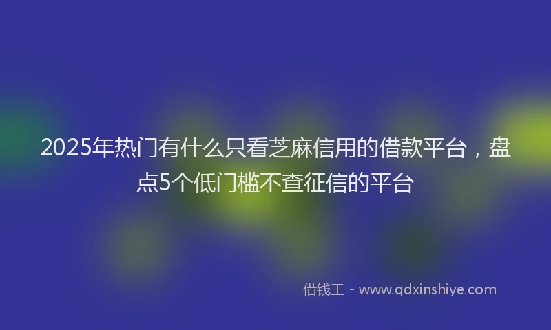 2025年热门有什么只看芝麻信用的借款平台，盘点5个低门槛不查征信的平台