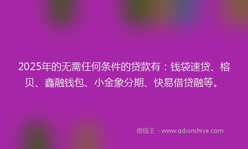 2025年的无需任何条件的贷款有：钱袋速贷、榕贝、鑫融钱包、小金象分期、快易借贷融等。