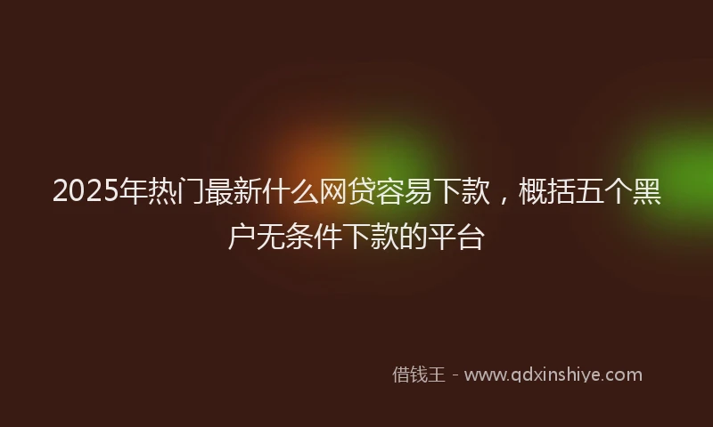 2025年热门最新什么网贷容易下款，概括五个黑户无条件下款的平台