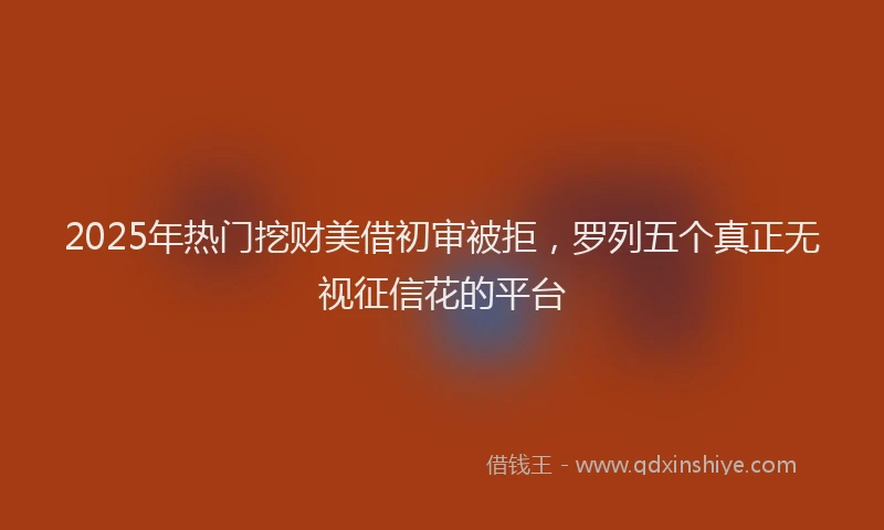 2025年热门挖财美借初审被拒，罗列五个真正无视征信花的平台