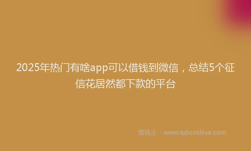2025年热门有啥app可以借钱到微信，总结5个征信花居然都下款的平台