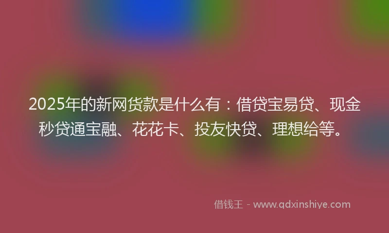 2025年的新网货款是什么有：借贷宝易贷、现金秒贷通宝融、花花卡、投友快贷、理想给等。