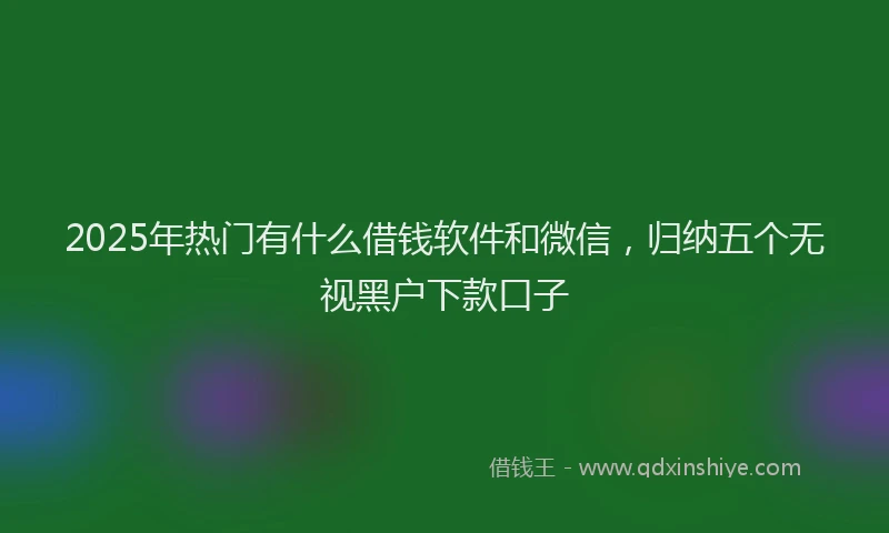 2025年热门有什么借钱软件和微信，归纳五个无视黑户下款口子