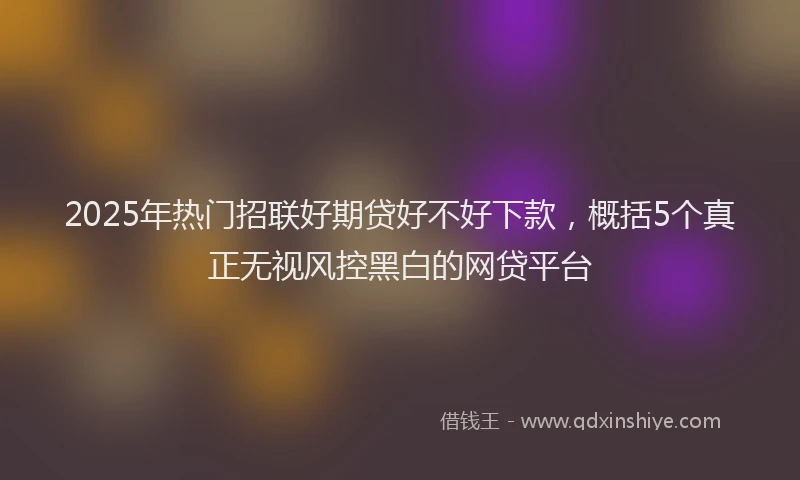 2025年热门招联好期贷好不好下款，概括5个真正无视风控黑白的网贷平台
