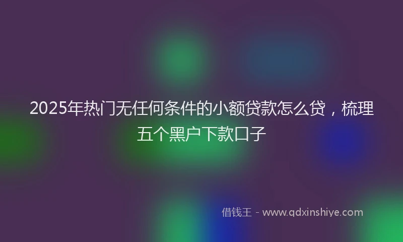 2025年热门无任何条件的小额贷款怎么贷，梳理五个黑户下款口子