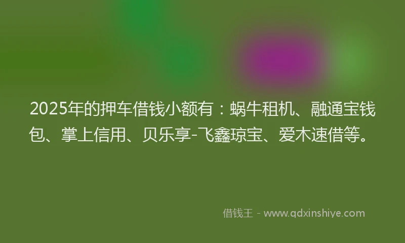 2025年的押车借钱小额有：蜗牛租机、融通宝钱包、掌上信用、贝乐享-飞鑫琼宝、爱木速借等。
