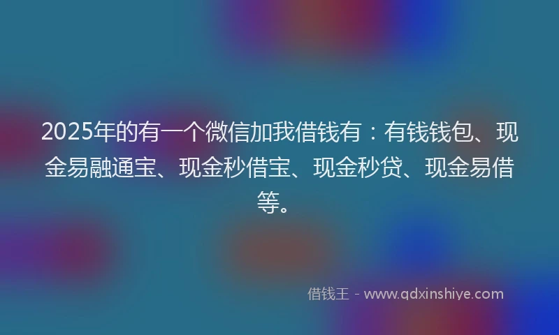 2025年的有一个微信加我借钱有：有钱钱包、现金易融通宝、现金秒借宝、现金秒贷、现金易借等。