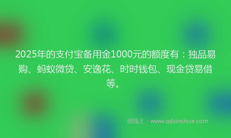 2025年的支付宝备用金1000元的额度有：独品易购、蚂蚁微贷、安逸花、时时钱包、现金贷易借等。