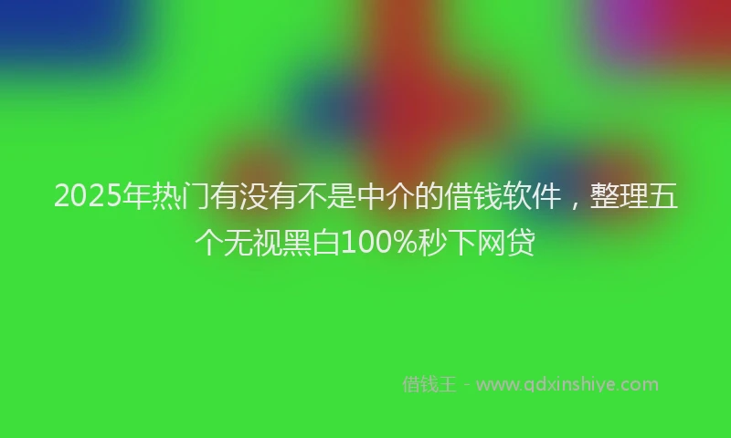 2025年热门有没有不是中介的借钱软件，整理五个无视黑白100%秒下网贷
