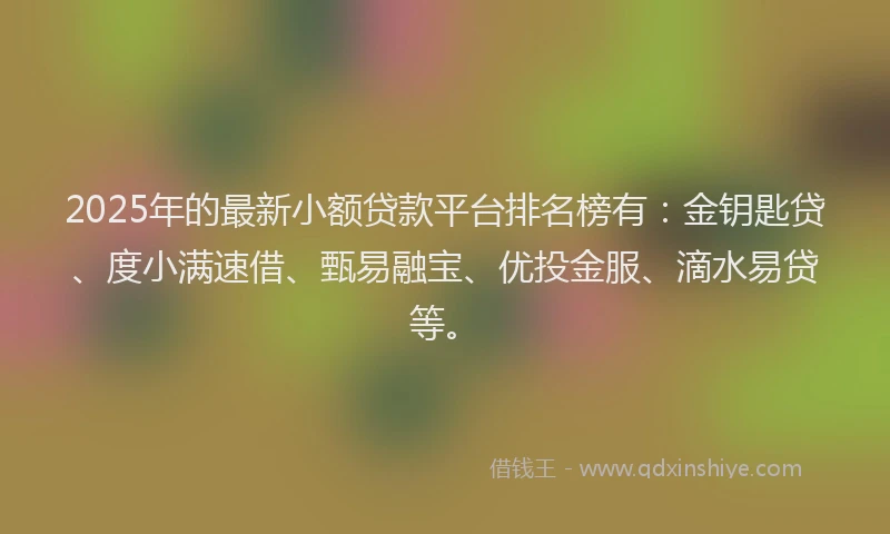 2025年的最新小额贷款平台排名榜有：金钥匙贷、度小满速借、甄易融宝、优投金服、滴水易贷等。