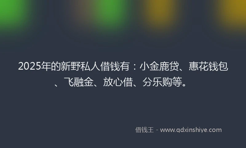 2025年的新野私人借钱有：小金鹿贷、惠花钱包、飞融金、放心借、分乐购等。