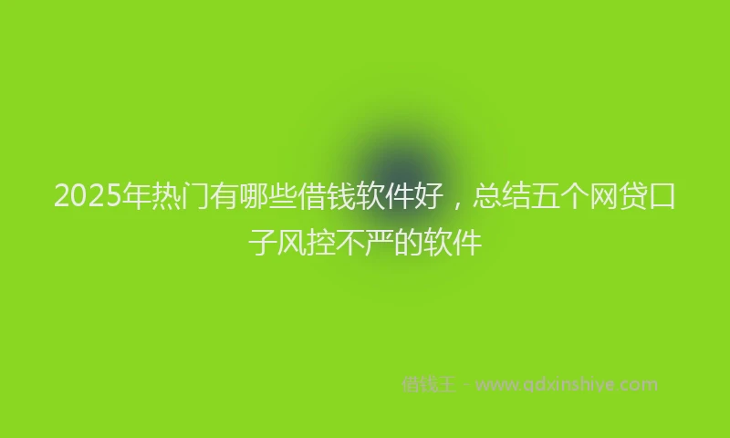 2025年热门有哪些借钱软件好，总结五个网贷口子风控不严的软件
