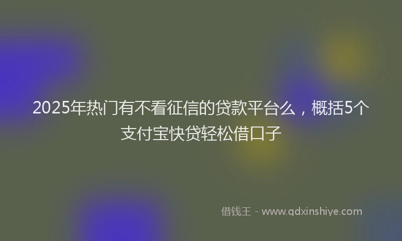 2025年热门有不看征信的贷款平台么，概括5个支付宝快贷轻松借口子