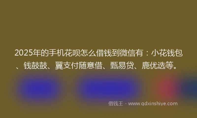 2025年的手机花呗怎么借钱到微信有：小花钱包、钱鼓鼓、翼支付随意借、甄易贷、鹿优选等。