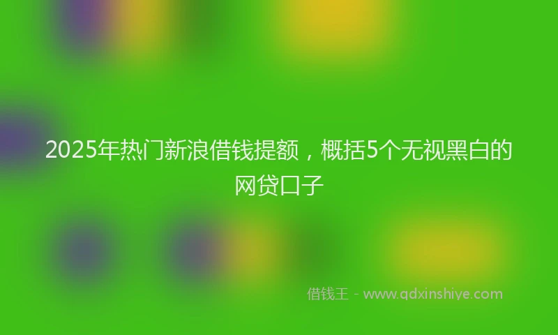 2025年热门新浪借钱提额，概括5个无视黑白的网贷口子