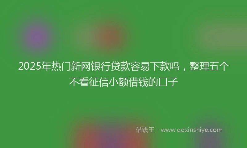 2025年热门新网银行贷款容易下款吗，整理五个不看征信小额借钱的口子