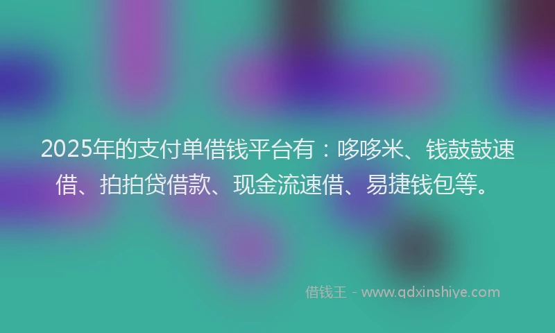 2025年的支付单借钱平台有：哆哆米、钱鼓鼓速借、拍拍贷借款、现金流速借、易捷钱包等。