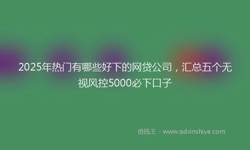 2025年热门有哪些好下的网贷公司，汇总五个无视风控5000必下口子