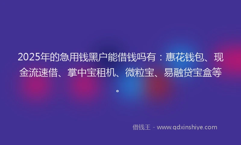 2025年的急用钱黑户能借钱吗有：惠花钱包、现金流速借、掌中宝租机、微粒宝、易融贷宝盒等。