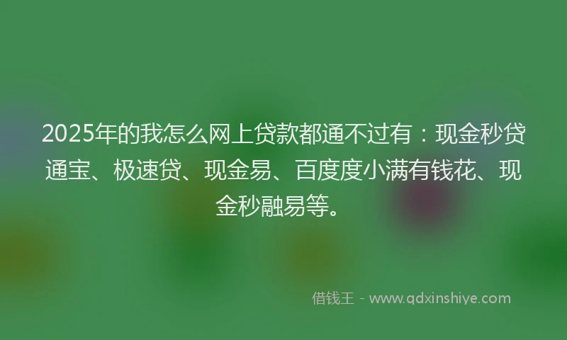 2025年的我怎么网上贷款都通不过有：现金秒贷通宝、极速贷、现金易、百度度小满有钱花、现金秒融易等。