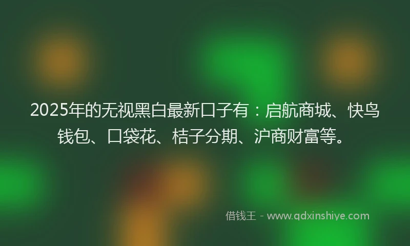 2025年的无视黑白最新口子有：启航商城、快鸟钱包、口袋花、桔子分期、沪商财富等。