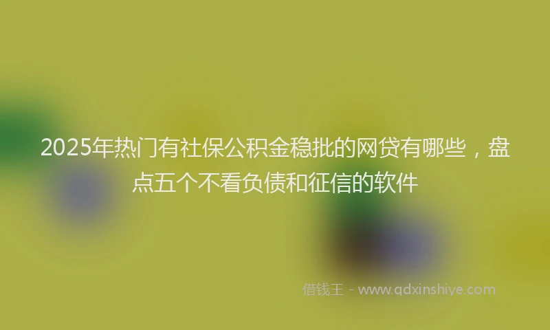 2025年热门有社保公积金稳批的网贷有哪些，盘点五个不看负债和征信的软件