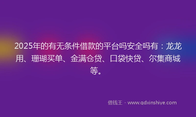 2025年的有无条件借款的平台吗安全吗有：龙龙用、珊瑚买单、金满仓贷、口袋快贷、尔集商城等。