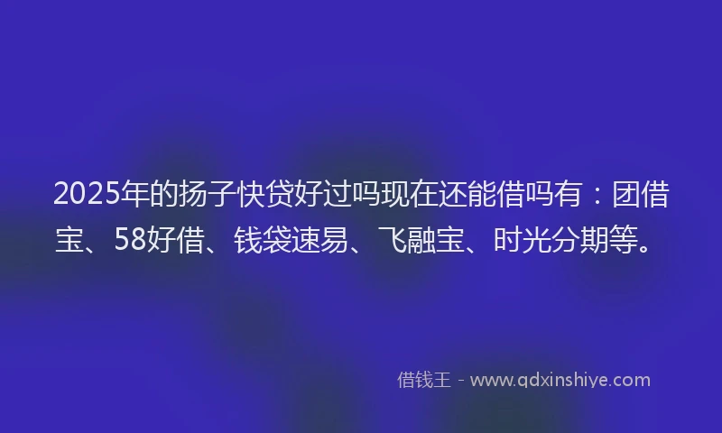 2025年的扬子快贷好过吗现在还能借吗有：团借宝、58好借、钱袋速易、飞融宝、时光分期等。