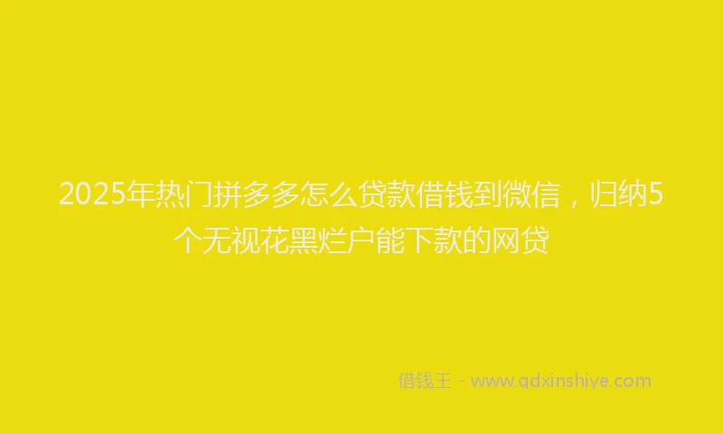 2025年热门拼多多怎么贷款借钱到微信，归纳5个无视花黑烂户能下款的网贷