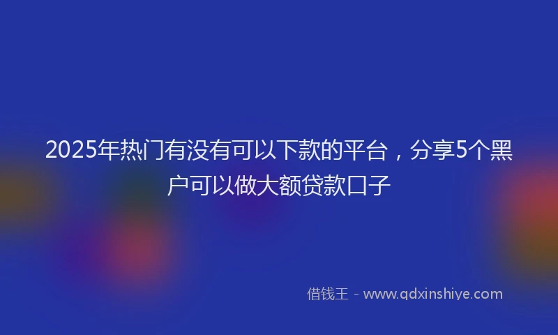 2025年热门有没有可以下款的平台，分享5个黑户可以做大额贷款口子
