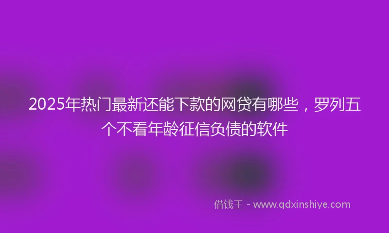 2025年热门最新还能下款的网贷有哪些，罗列五个不看年龄征信负债的软件