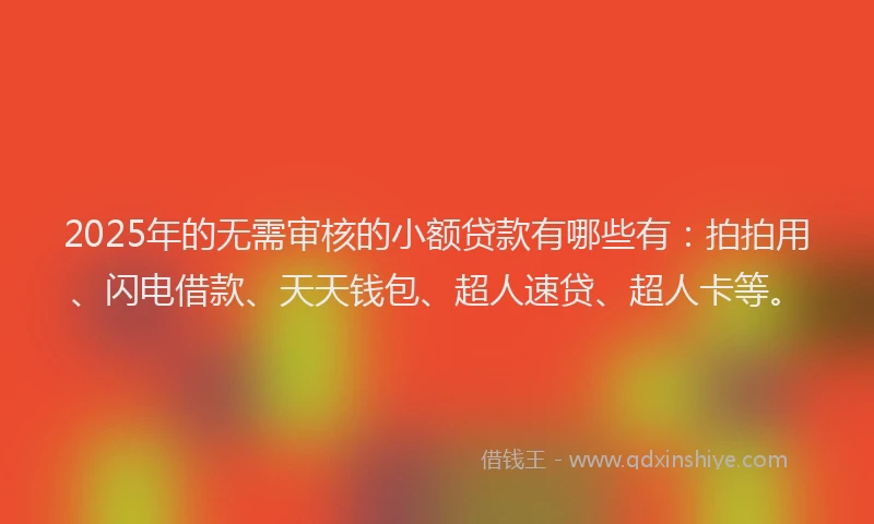 2025年的无需审核的小额贷款有哪些有：拍拍用、闪电借款、天天钱包、超人速贷、超人卡等。