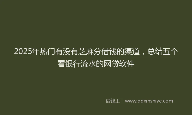 2025年热门有没有芝麻分借钱的渠道，总结五个看银行流水的网贷软件