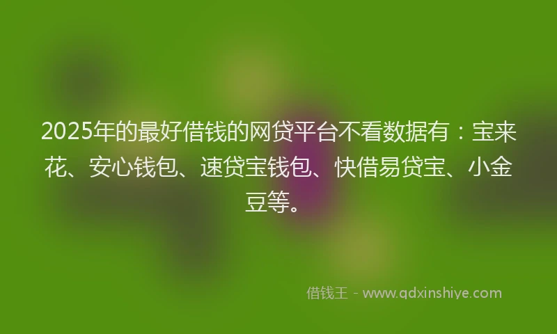2025年的最好借钱的网贷平台不看数据有：宝来花、安心钱包、速贷宝钱包、快借易贷宝、小金豆等。