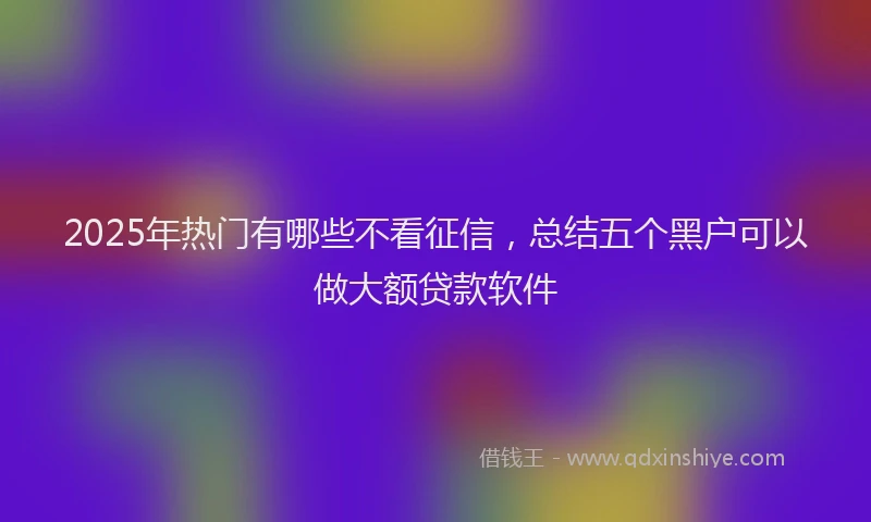 2025年热门有哪些不看征信，总结五个黑户可以做大额贷款软件
