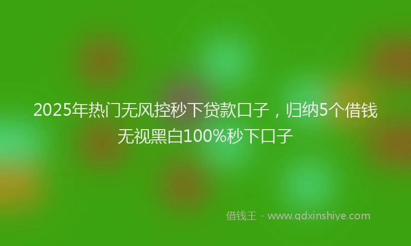 2025年热门无风控秒下贷款口子，归纳5个借钱无视黑白100%秒下口子