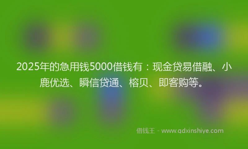 2025年的急用钱5000借钱有：现金贷易借融、小鹿优选、瞬信贷通、榕贝、即客购等。