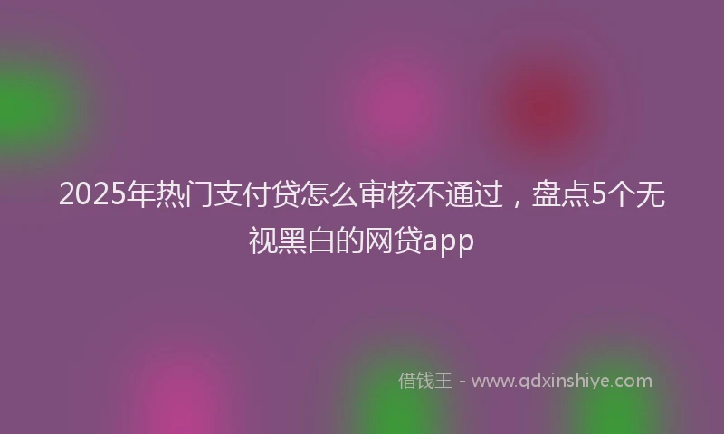 2025年热门支付贷怎么审核不通过，盘点5个无视黑白的网贷app