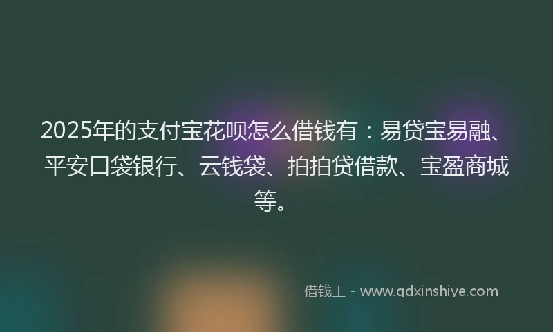 2025年的支付宝花呗怎么借钱有：易贷宝易融、平安口袋银行、云钱袋、拍拍贷借款、宝盈商城等。