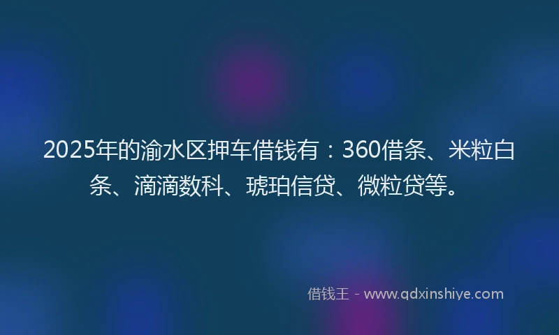 2025年的渝水区押车借钱有：360借条、米粒白条、滴滴数科、琥珀信贷、微粒贷等。