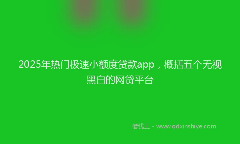 2025年热门极速小额度贷款app，概括五个无视黑白的网贷平台