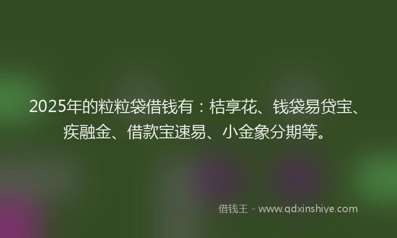 2025年的粒粒袋借钱有：桔享花、钱袋易贷宝、疾融金、借款宝速易、小金象分期等。