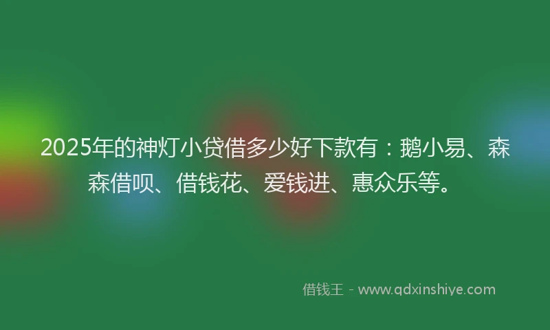 2025年的神灯小贷借多少好下款有：鹅小易、森森借呗、借钱花、爱钱进、惠众乐等。